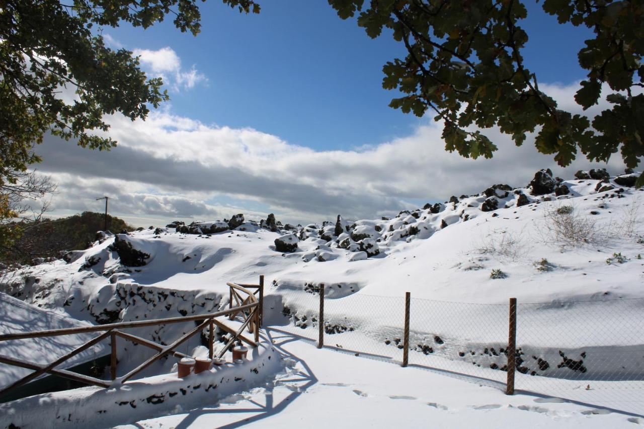 Matilde'S Chalet Etna Nature House Николози Экстерьер фото